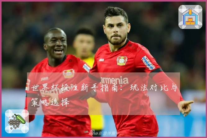 世界杯投注新手指南：玩法对比与策略选择