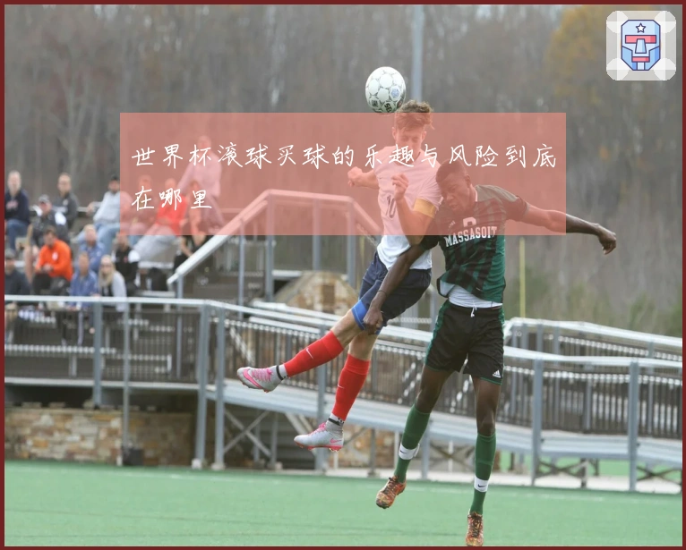 世界杯滚球买球的乐趣与风险到底在哪里