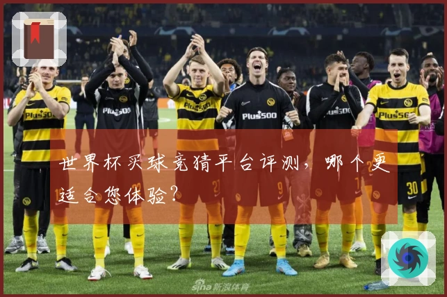 世界杯买球竞猜平台评测，哪个更适合您体验？