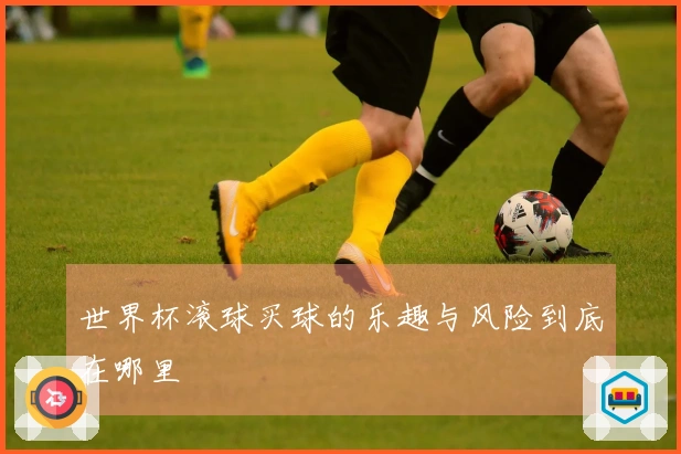 世界杯滚球买球的乐趣与风险到底在哪里