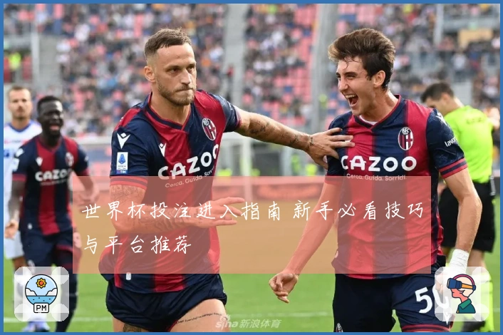 世界杯投注进入指南 新手必看技巧与平台推荐