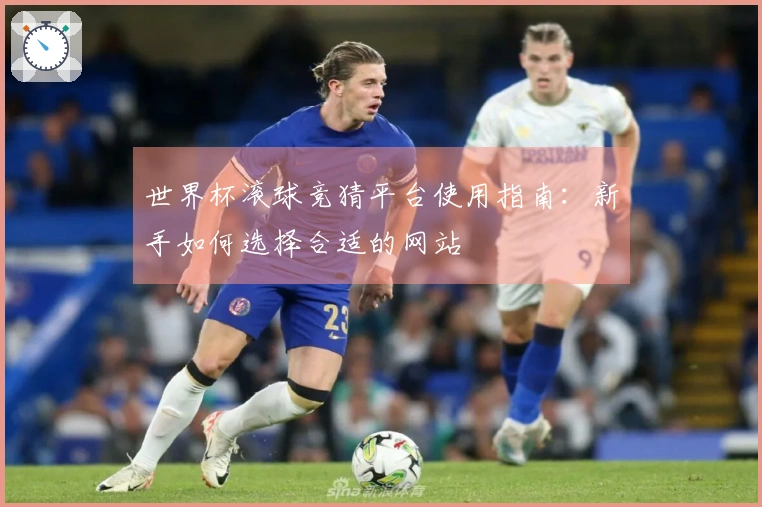 世界杯滚球竞猜平台使用指南：新手如何选择合适的网站