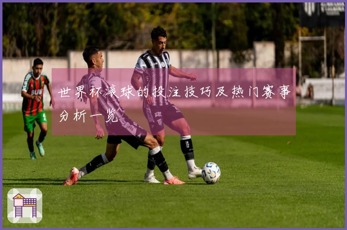 世界杯滚球的投注技巧及热门赛事分析一览