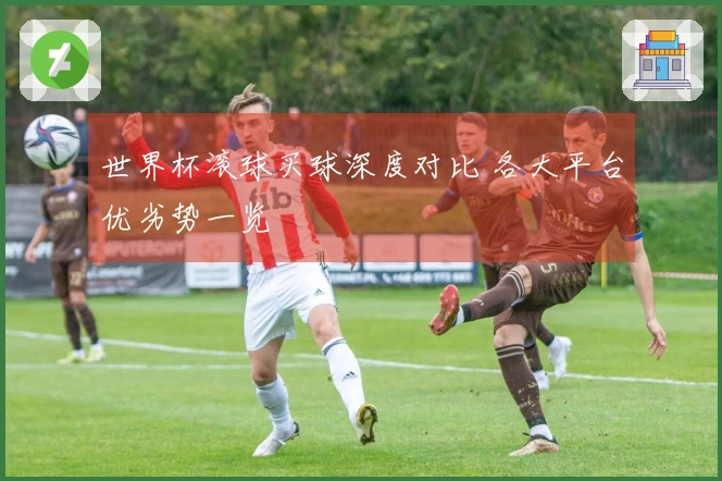 世界杯滚球买球深度对比 各大平台优劣势一览